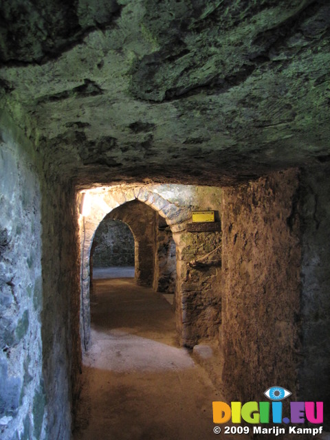 Carew Castle